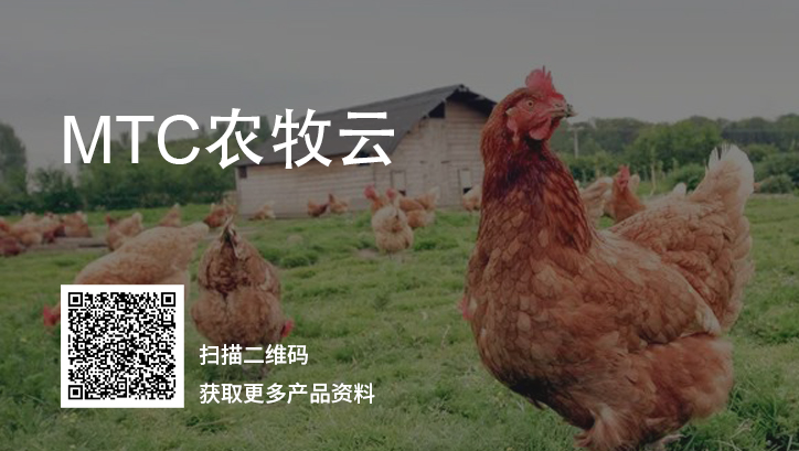 智慧雞場,雞場管理系統(tǒng),養(yǎng)雞軟件,養(yǎng)殖管理系統(tǒng),農(nóng)牧養(yǎng)殖系統(tǒng),SAP農(nóng)牧