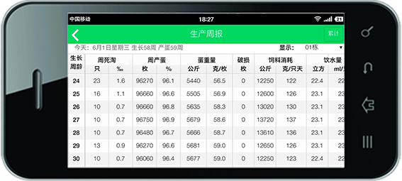 養(yǎng)雞管理軟件-生產(chǎn)日報(bào)