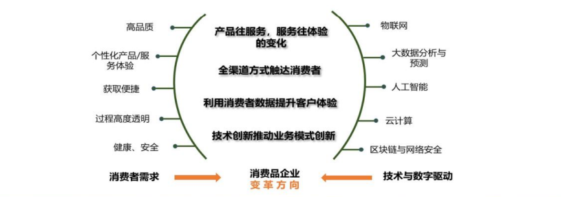 消費(fèi)品企業(yè)數(shù)字化變革