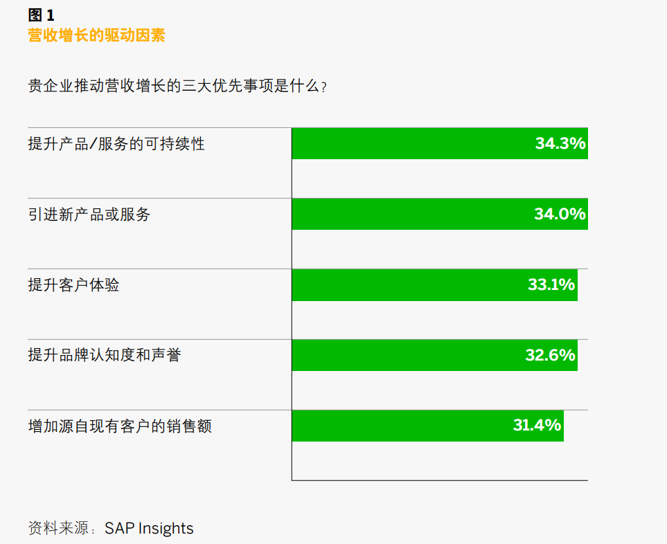 SAP成長型企業(yè)