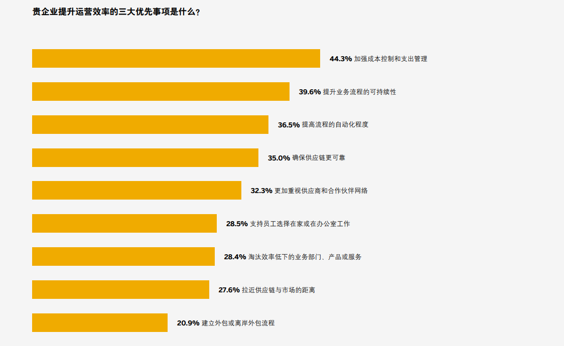 SAP白皮書