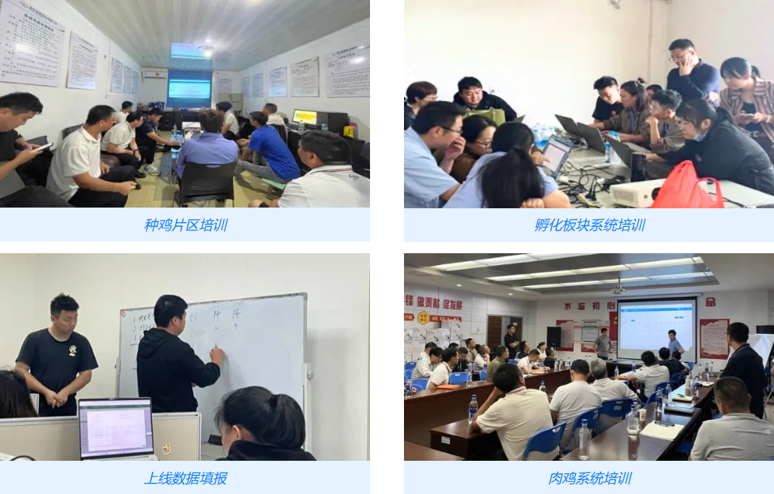 圣農(nóng)SAP ERP及智慧農(nóng)場養(yǎng)殖系統(tǒng)培訓(xùn)